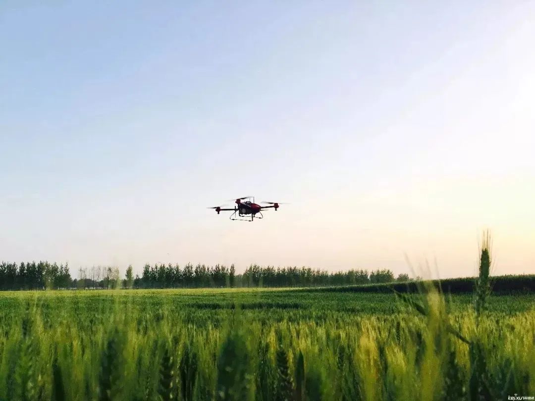 【海外模式】日本農業“第六產業”到底是什么？怎么做？