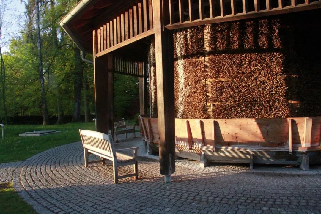 【新模式研究】森林康養的政策、模式及案例