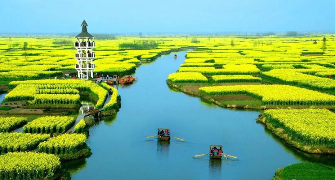 農業產業周報|唐人神、盒馬生鮮、嘉吉、大北農最新動態；本周8例融資