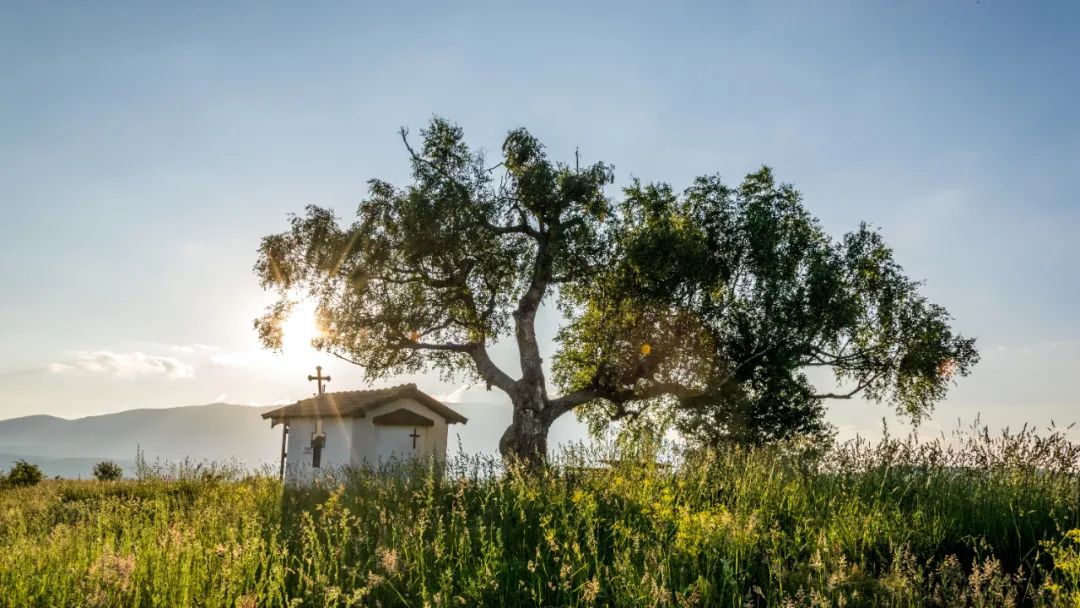 【干貨實操】鄉村旅游：一手好牌是如何被打爛的？