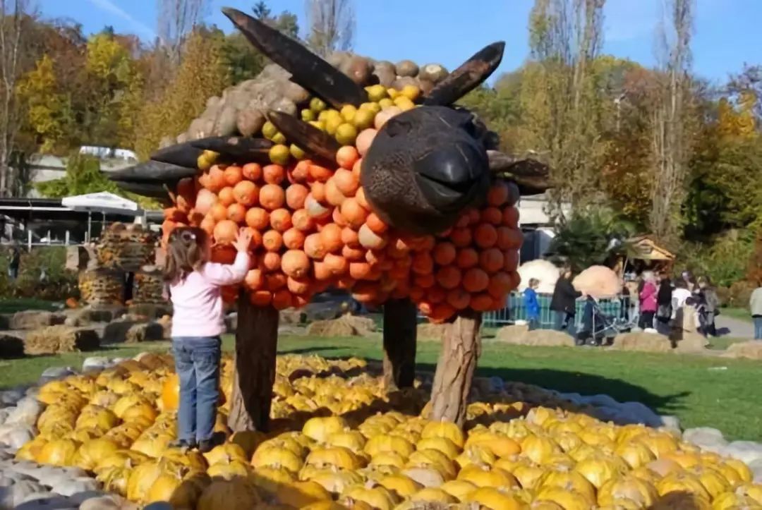 【經營實操】如何使農業園區“景區化”？