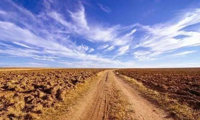 三農(nóng)日報|政策：流轉(zhuǎn)土地不種糧將會停止扶持；未來5年休閑農(nóng)業(yè)經(jīng)營收入達(dá)萬億級