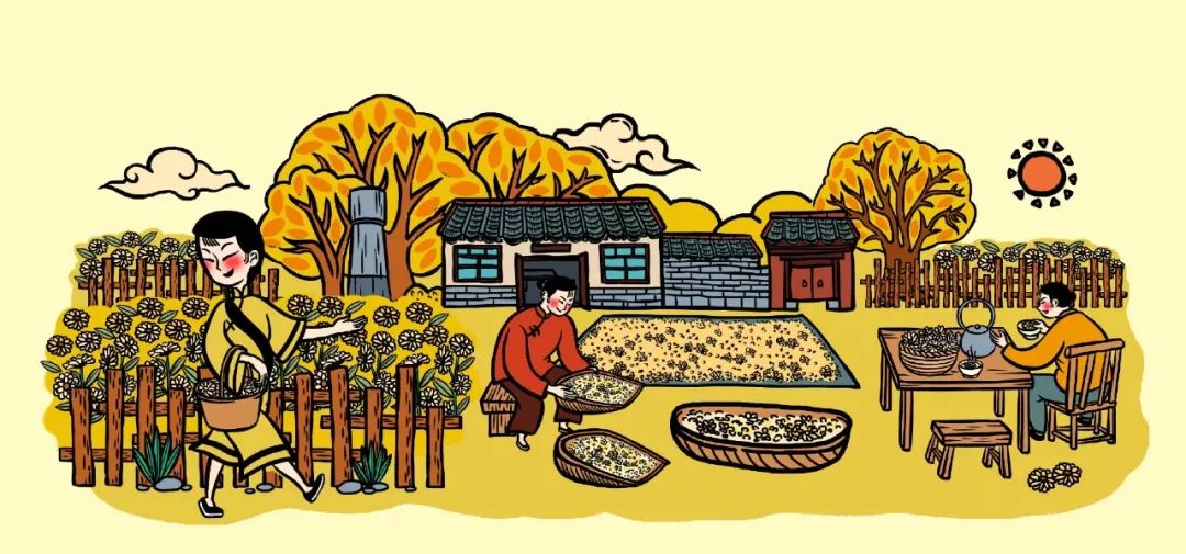 【標(biāo)桿案例】鄉(xiāng)村品牌案例：小郭家村，一朵菊花，帶火一個村