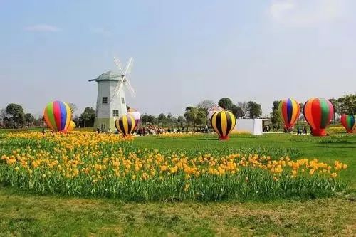 【休閑農業】十大創意主題農業園區景觀