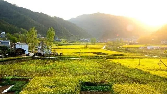 三農日報|政策：大力支持鄉村民宿；黨國英：農民收入主要來自非農業務