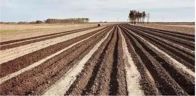 中國農業顛覆時代已經到來！