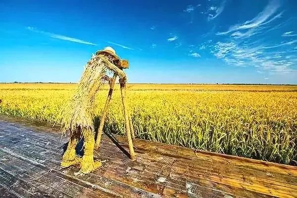 【模式研究】八大農(nóng)業(yè)創(chuàng)新模式全面解讀