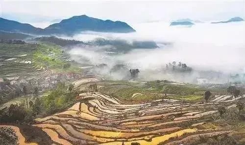 【深度分析】循環(huán)農(nóng)業(yè)的田園綜合體