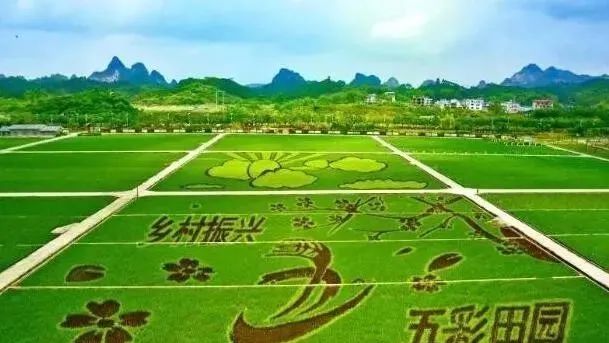 【課題研究】我國田園綜合體發(fā)展概述