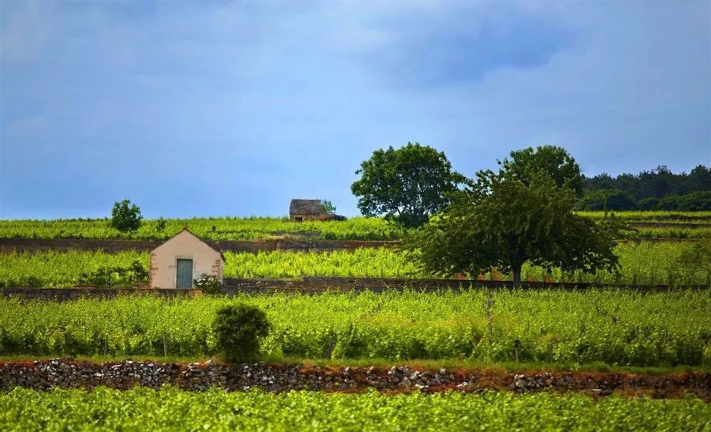 【世界農業案例】法國農業旅游，發展經驗 & 啟示