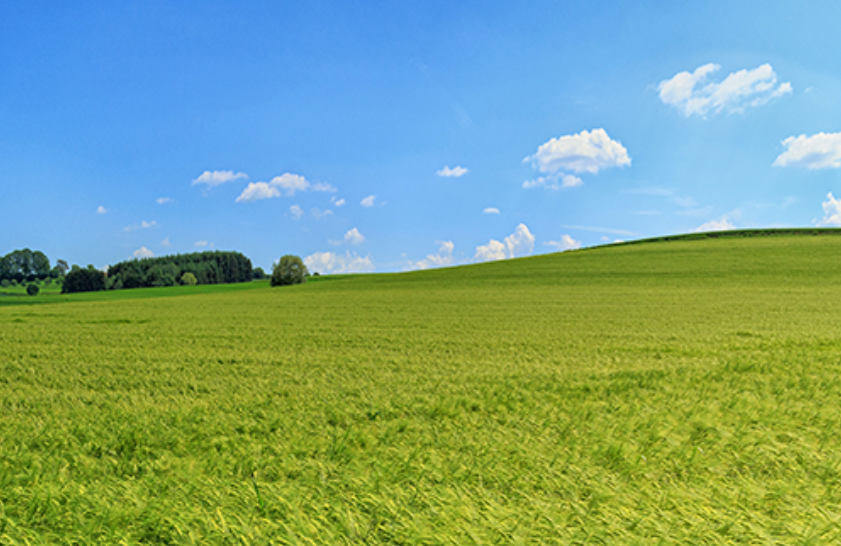 【休閑農業】抓緊申報！！2024 年全國休閑農業重點縣