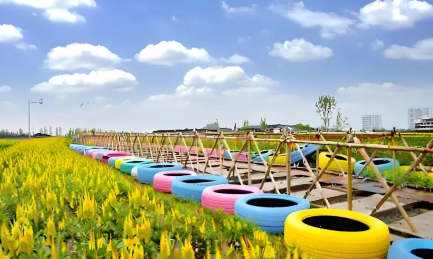 【休閑農業】實操分享！休閑農場如何盈利？