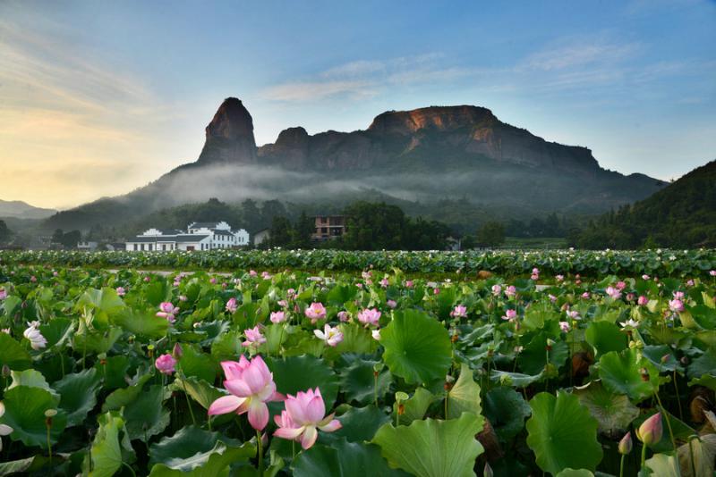 未來農業發展6大趨勢