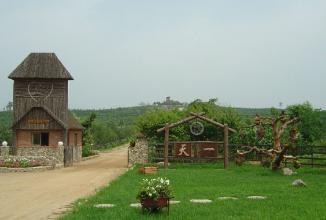 案例|全國青少年農業科普示范基地——樂彩兒童農場 