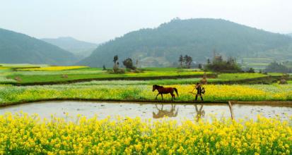2016年半年度十大農業熱詞榜