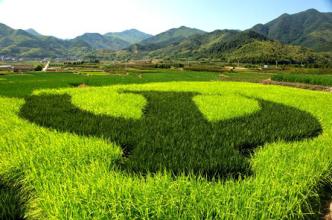 大力發(fā)展休閑農(nóng)業(yè)的指導(dǎo)意見有哪些？