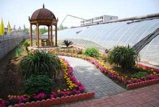 國家放大招支持休閑農(nóng)業(yè)，看農(nóng)莊需要練就的天龍八步