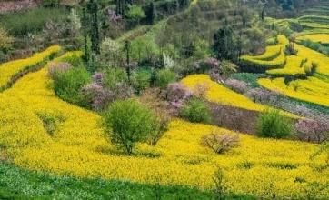 休閑農業(yè)已爆發(fā)，究竟怎么玩才賺錢？