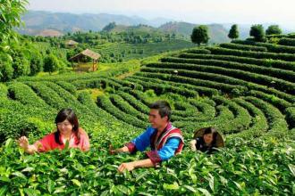 休閑農業(yè)已爆發(fā)，究竟怎么玩才賺錢？