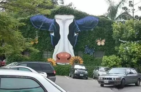 臺灣休閑農業發展的成功秘訣，不只是有創意那么簡單 ！