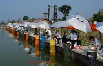 怎樣才能把“休閑農莊”做到效益最大化？
