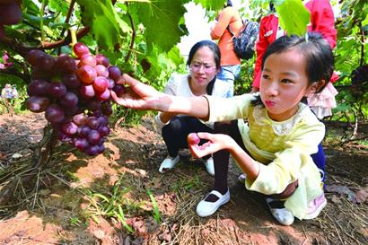 青島現(xiàn)代農業(yè)五年規(guī)劃：2020年休閑農業(yè)總收入將超百億