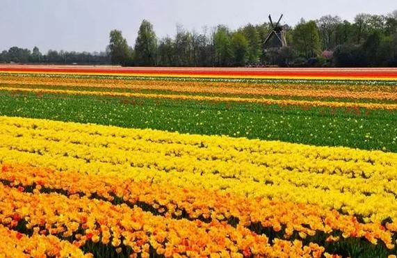 想做休閑農業(yè)沒有地怎么辦？怎么拿地，看這里就都明白了！