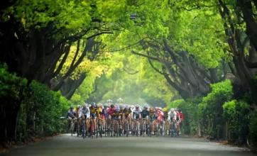 休閑農業的大風口下，很多農莊為何“飛”不起來?