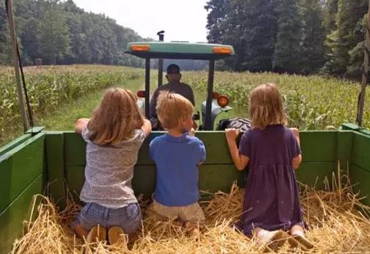 親子農業未來的發展前景及六大產品類型，新農人必看！