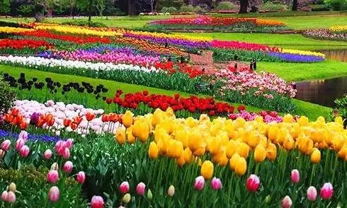 未來五年休閑農業必將穩賺大錢？