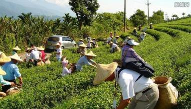 休閑農業做好這三點，不賺錢都難!