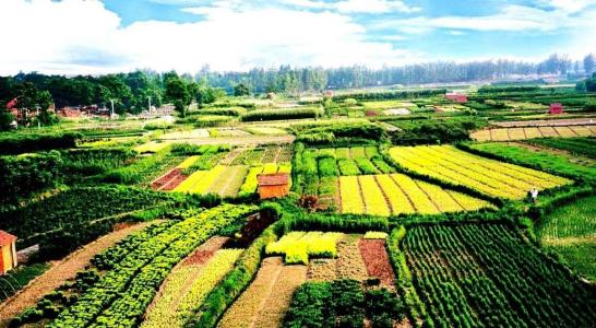 我國休閑農業(yè)發(fā)展現狀與趨勢分析