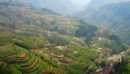 休閑農業的主體是“旅”還是“農”？