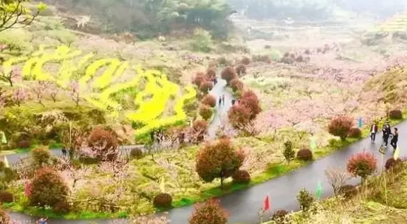 打造田園綜合體，要建設好五大功能分區