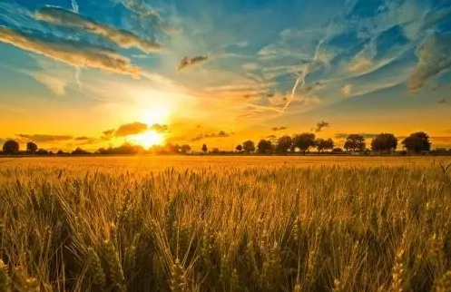 QQ圖片20170822093633 1.png