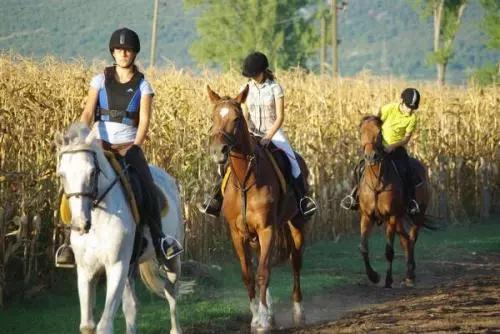 微信圖片_20180102091348 6.jpg