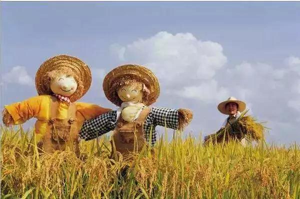 微信圖片_20180102091329 2.jpg