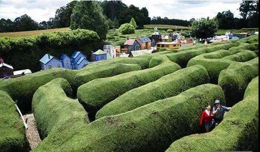 微信圖片_20180102091353 7.jpg