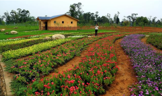 QQ圖片20180503183003 3.png