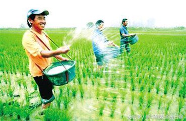 新《農藥管理條例》即將實施——這十件事農業部門要未雨綢繆