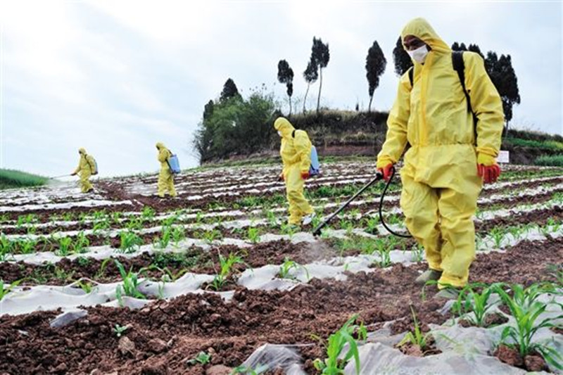 關于農藥隱性成分，你知道多少？