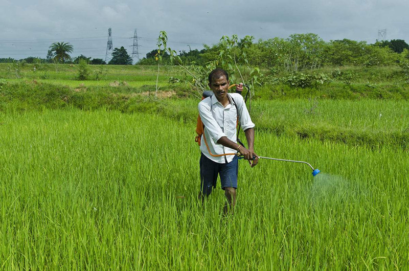 弄不懂哪些農藥是禁止混用的，別怪藥害找你哦
