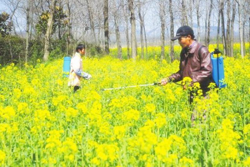 農藥經營持證上崗！想要申請許可證？這些你得清楚！
