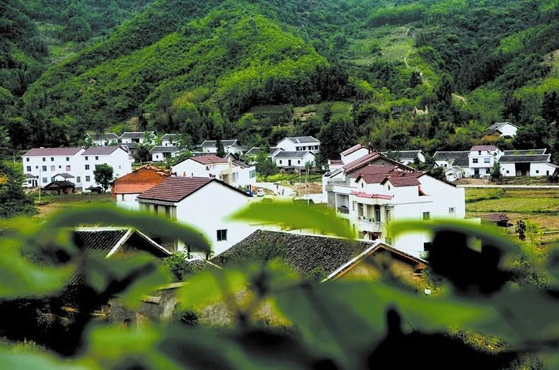 三農日報|未來農村集體產權制度改革試點增加；未來5年高毒農藥全部禁用