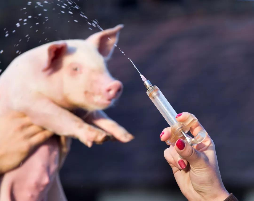 三農(nóng)日?qǐng)?bào)|數(shù)據(jù)預(yù)計(jì)大豆庫(kù)存將繼續(xù)下降；全國(guó)土地確權(quán)即將完成；