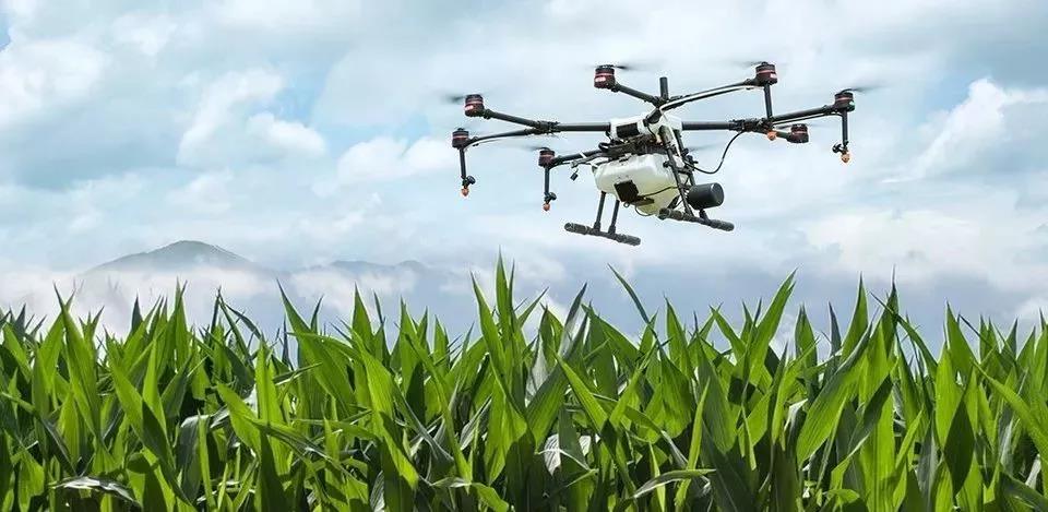 三農(nóng)日?qǐng)?bào)|業(yè)內(nèi)人士：農(nóng)化企業(yè)將面臨大規(guī)模的倒閉潮；我國(guó)玉米生產(chǎn)迎來(lái)轉(zhuǎn)折之年