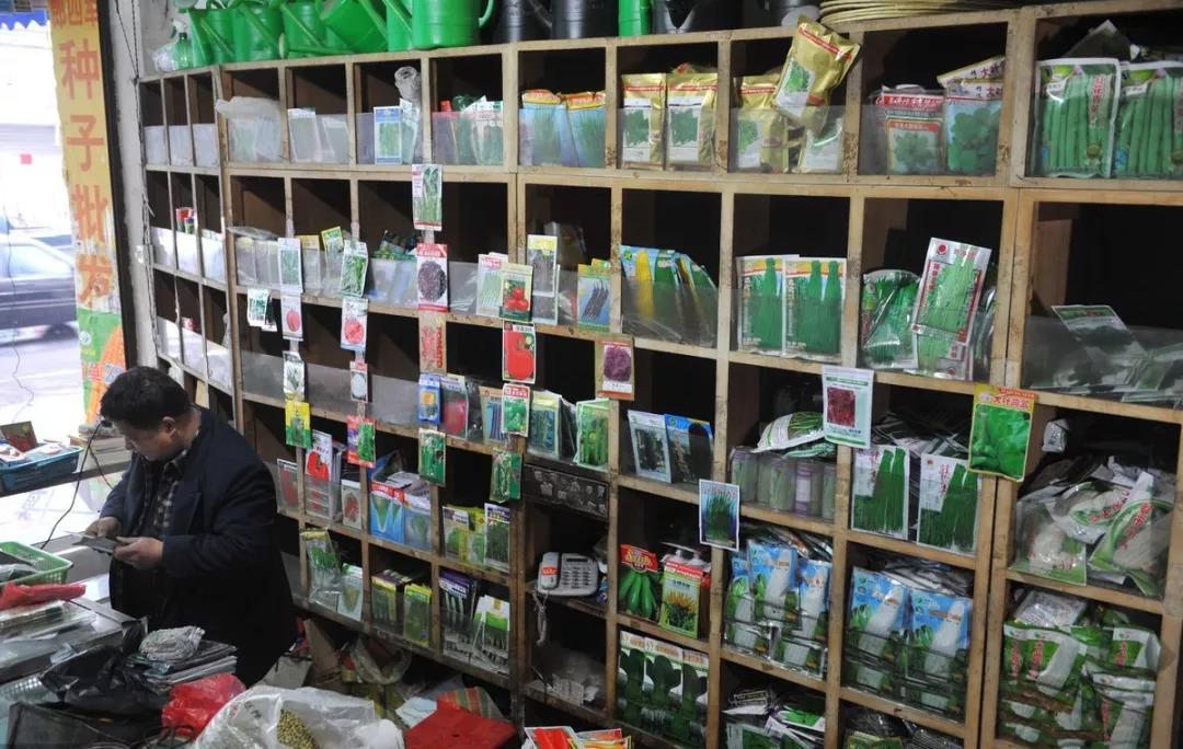 三農(nóng)領(lǐng)域大事記|（2019.2.2—2.17）