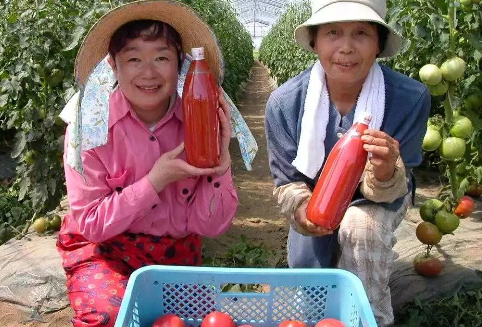 【國外農業】日本果農原來是這樣給蘋果樹打藥的！（附：日本蘋果園考察實況）