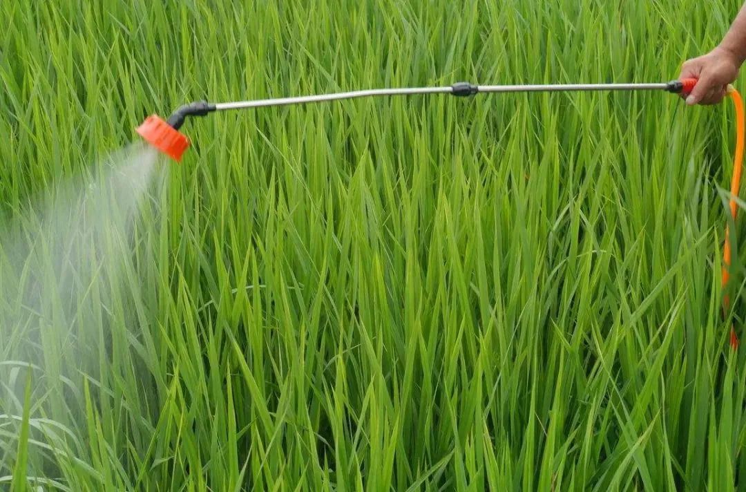 【知識】農藥使用出現的11種用藥誤區，你占了幾個？