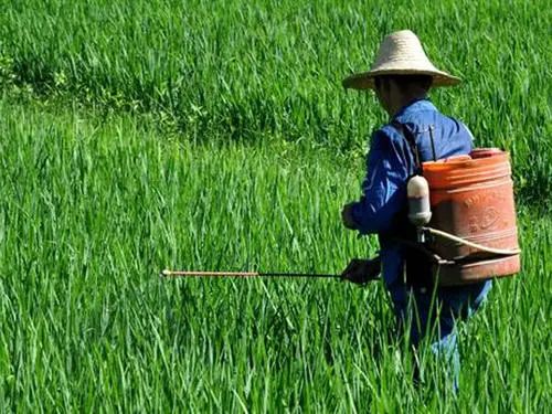 【行業報告】智庫報告：看化肥農藥農機全球市場發展趨勢如何？